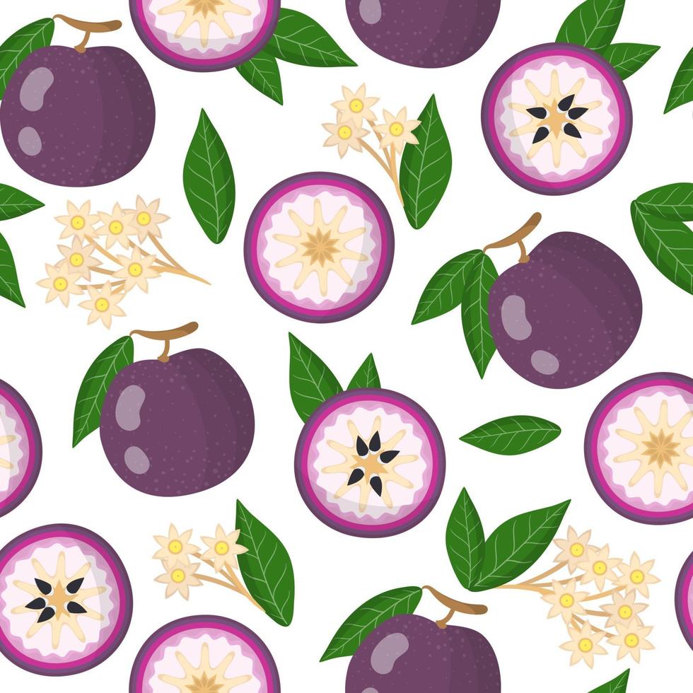 Nahtloses Muster der Vektorkarikatur mit exotischen Früchten, Blumen und Blättern des purpurnen Sternapfels auf weißem Hintergrund vektor