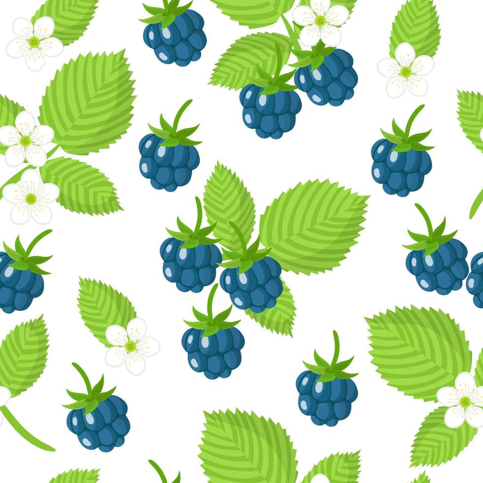 Nahtloses Muster der Vektorkarikatur mit exotischen Früchten, Blumen und Blättern der europäischen Brombeere auf weißem Hintergrund vektor