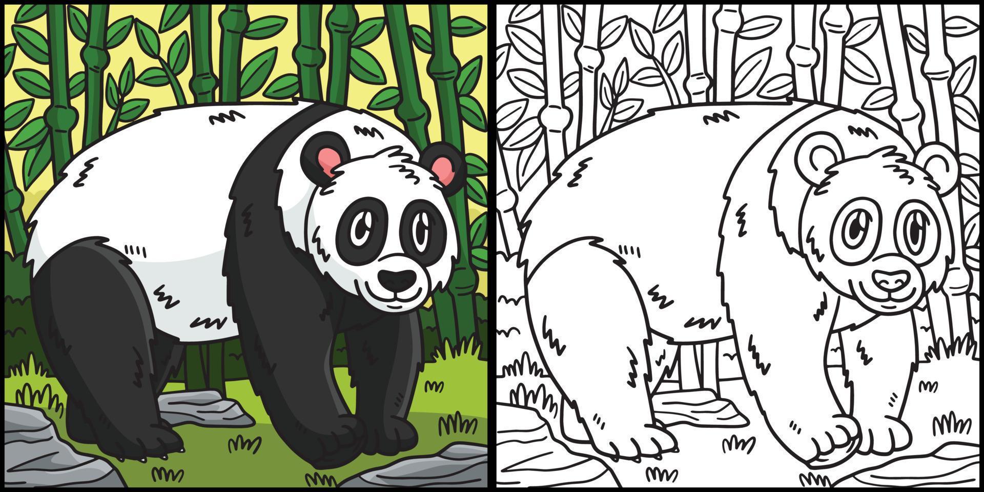 panda målarbok färgad illustration vektor