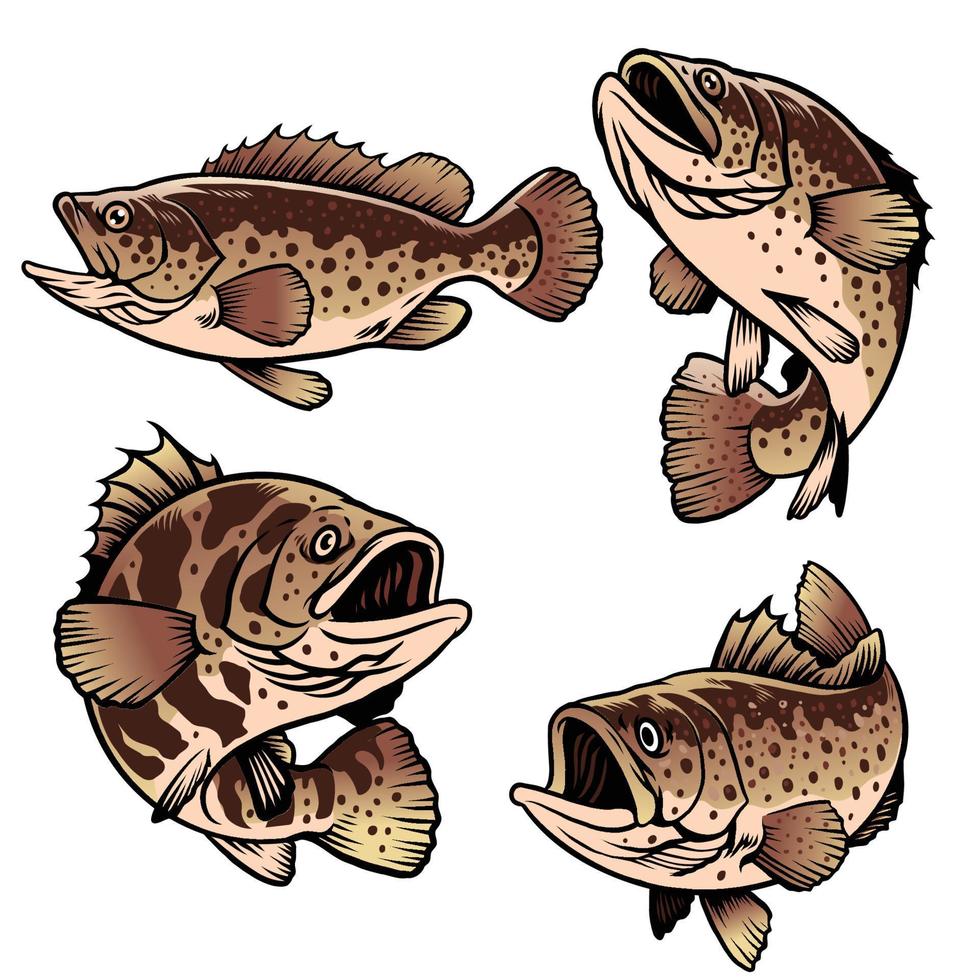 Zackenbarsch Fisch Zeichnung einstellen Sammlung vektor