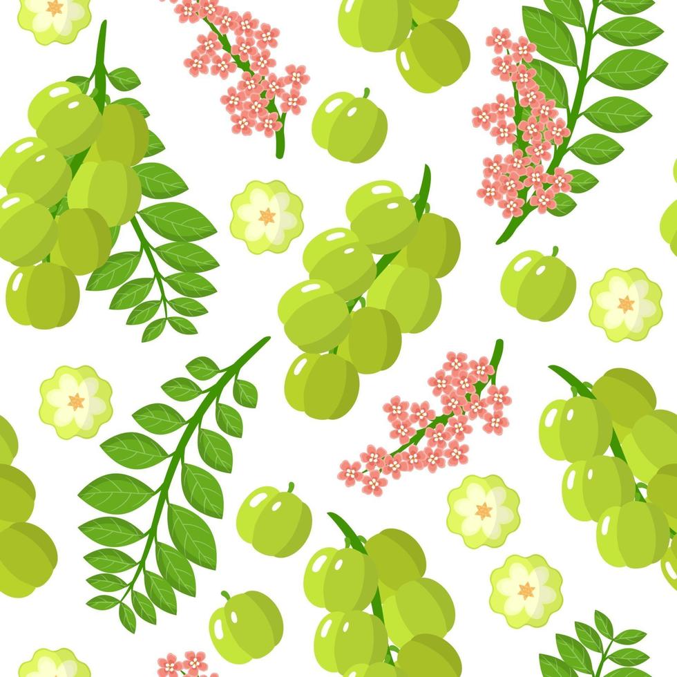 Nahtloses Muster der Vektorkarikatur mit exotischen Früchten, Blumen und Blättern der Antillenstachelbeere auf weißem Hintergrund vektor