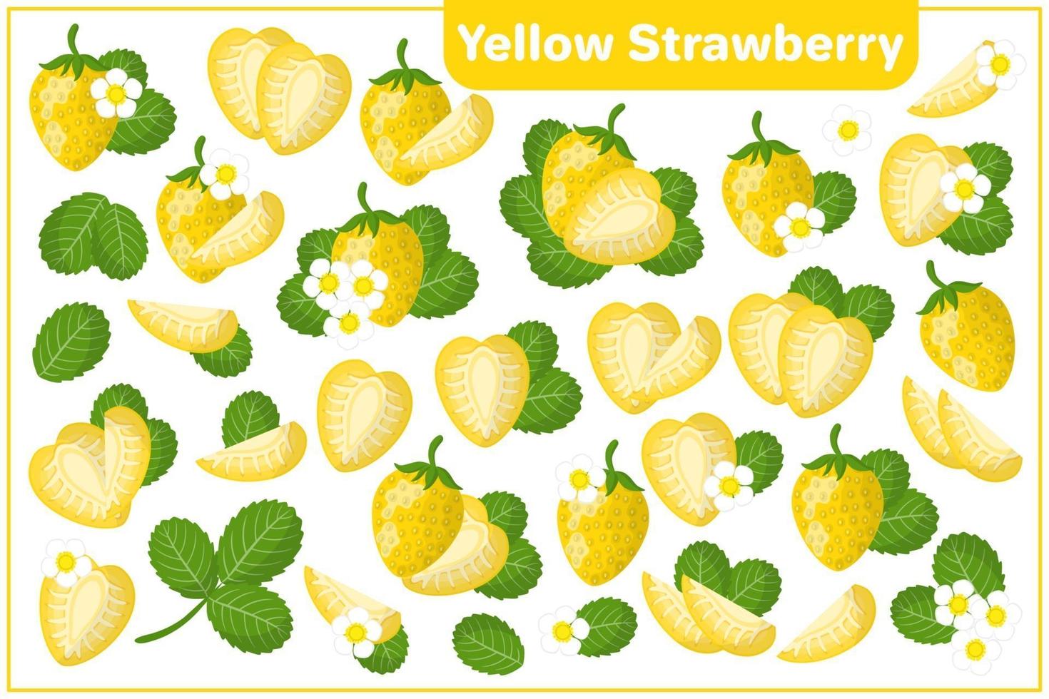 uppsättning vektor tecknad illustrationer med gula jordgubbar exotiska frukter, blommor, blad isolerad på vit bakgrund