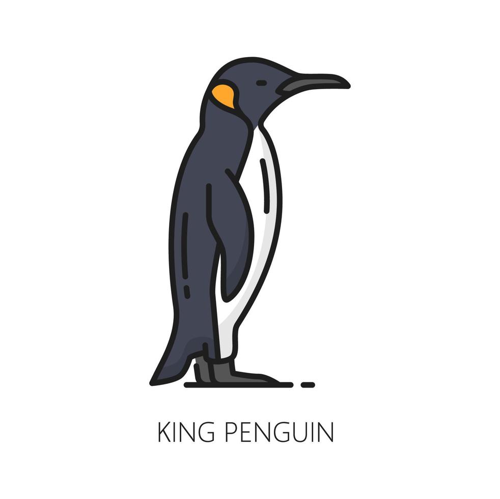 argentina atlanten kejsare kung pingvin Färg ikon vektor
