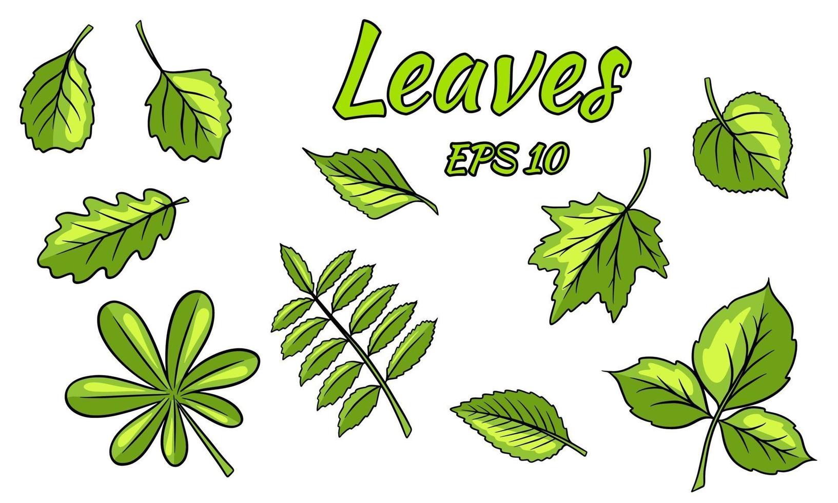 samling av gröna blad. blad av olika former. snidade löv. silhuett. vektor
