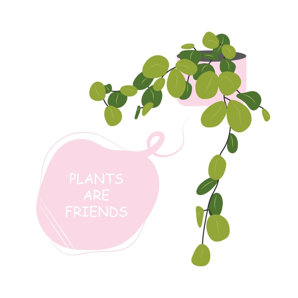 vykort med en bild av en krukväxt i en pott med en slogan handla om en vän. söt söt krukväxter med senare, växter är vänner. vektor illustration isolerat på vit bakgrund.