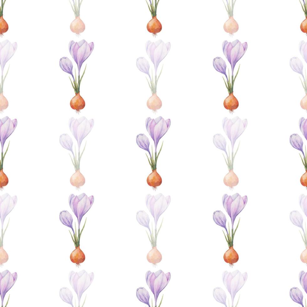 krokus mönster. saffran fält. sömlös mönster med lila krokusar. sömlös vektor mönster på en transparent bakgrund. bakgrund illustration. omslag bakgrund