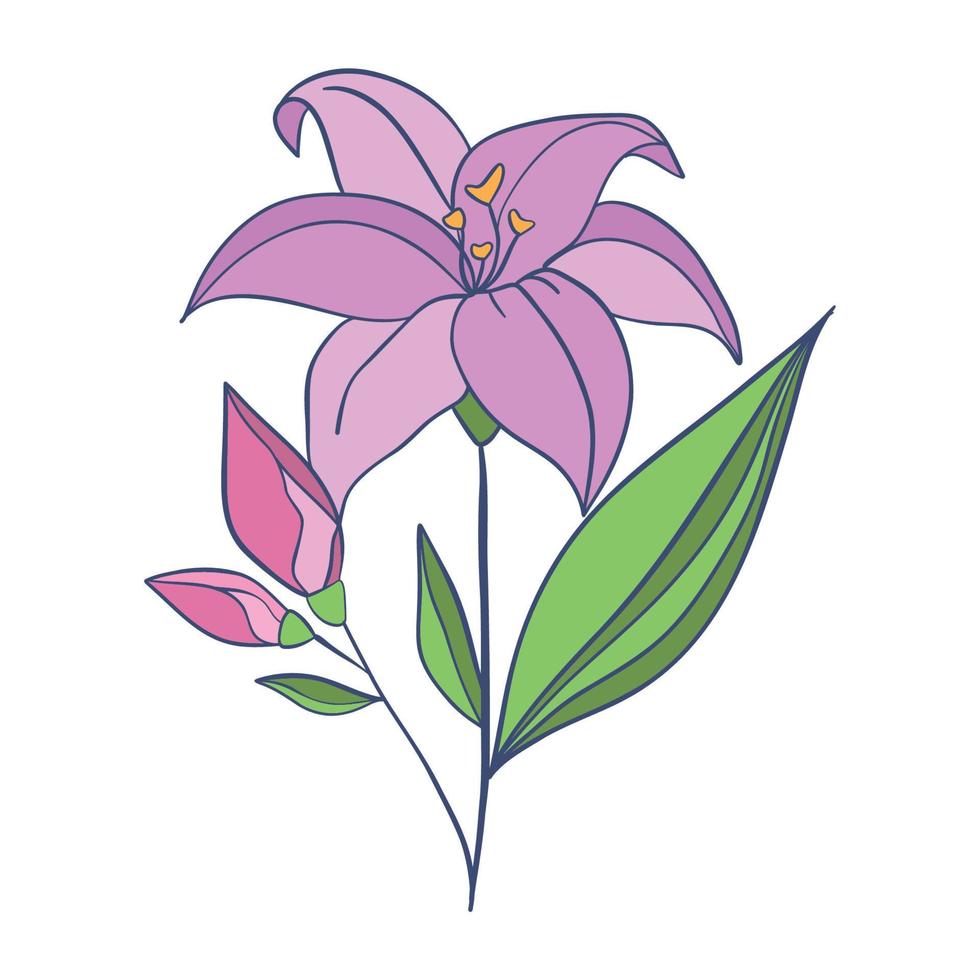 Lotus. Rosa Blume. Stengel und Blätter zum Werbung oder Einladung. Blüte, Knospe Öffnung, ein Wasser- Pflanze. 3d Design. isoliert Objekte zum Design vektor