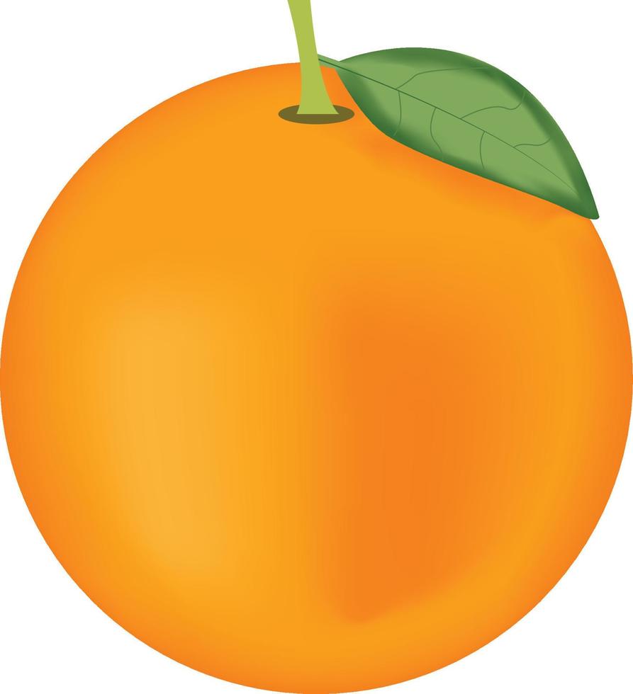 orange vektor bild
