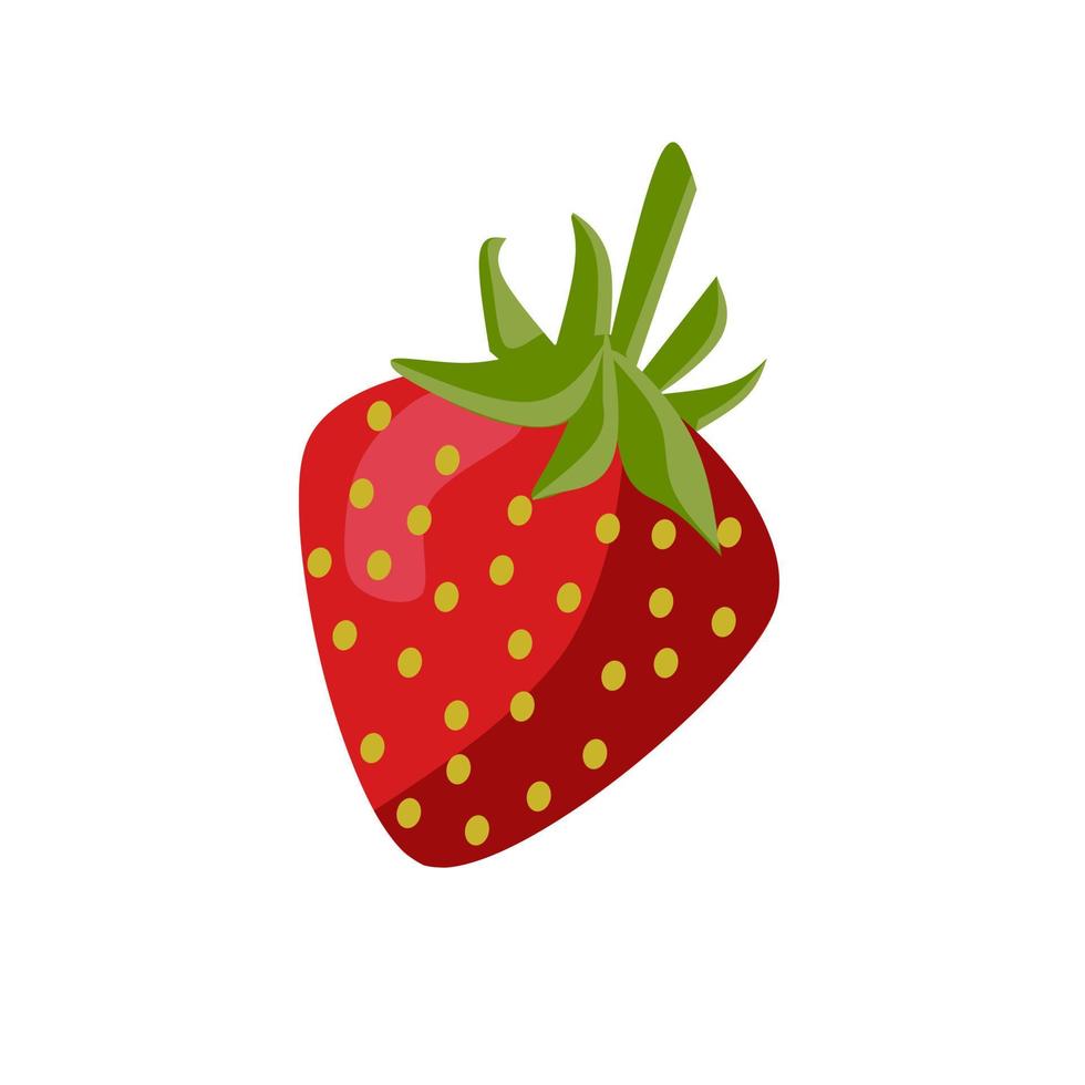 stawberry rot Sommer- Frucht, Weiß Hintergrund. Vektor Illustration von frisch Bauernhof organisch Beere benutzt zum Poster, Zeitschrift, Speisekarte Abdeckung, Vegetarier Cafe drucken, Buch.