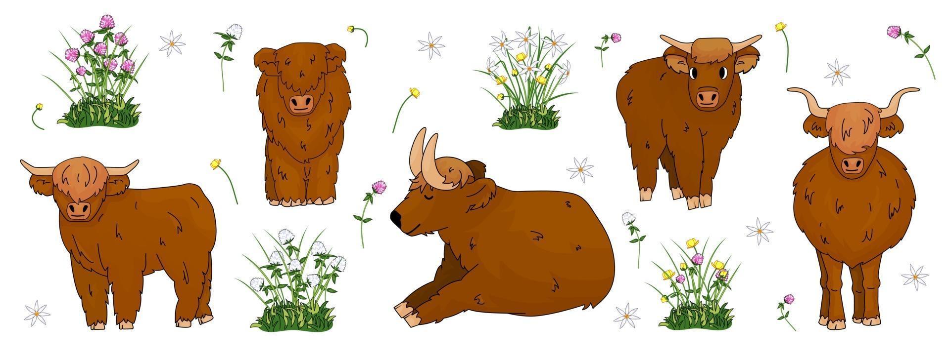 uppsättning handritade små och stora höglandsbruna kor, som sitter, står och ligger på marken med blommor, ängklöver, smörblomma, påskliljor vektor