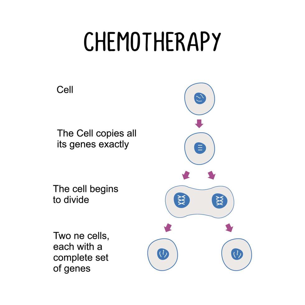 kemoterapi använda sig av av läkemedel till behandla cancer targeting och dödande cancer vektor