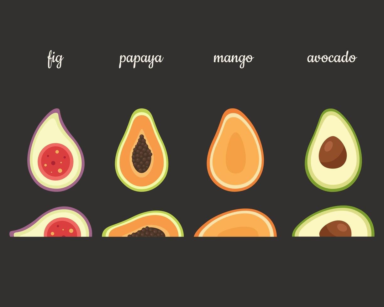 exotische Früchte Feige, Papaya, Mango, Avocado. Vektorillustration vektor