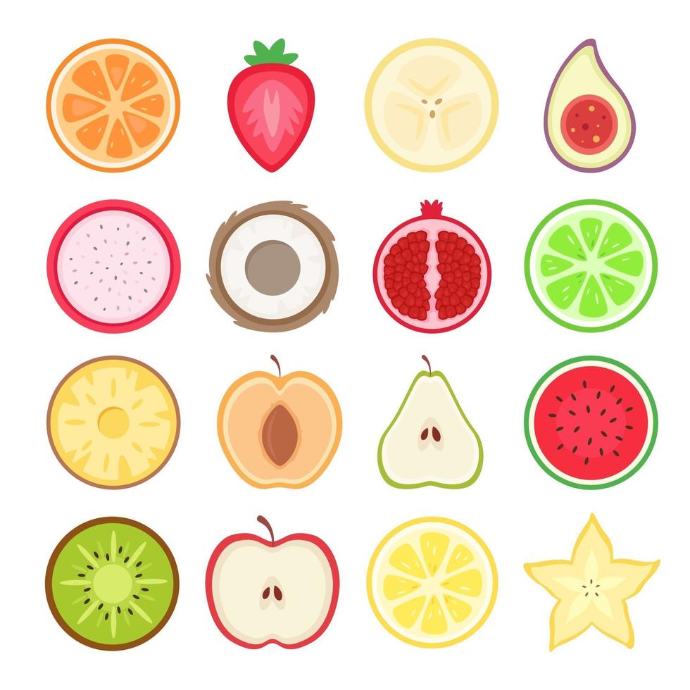 frukthalvor. tropiska och exotiska frukter. vektor illustration