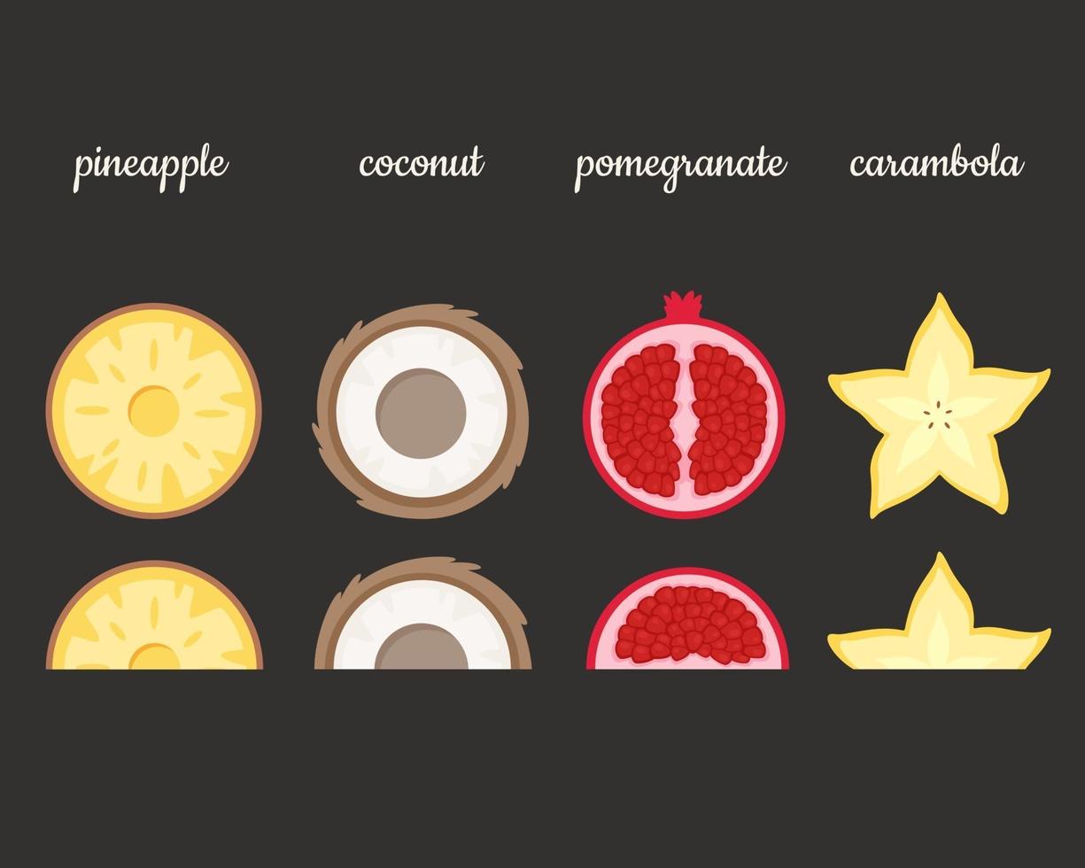 frukt skivor. ananas, kokosnöt, granatäpple, karambola. vektor illustration