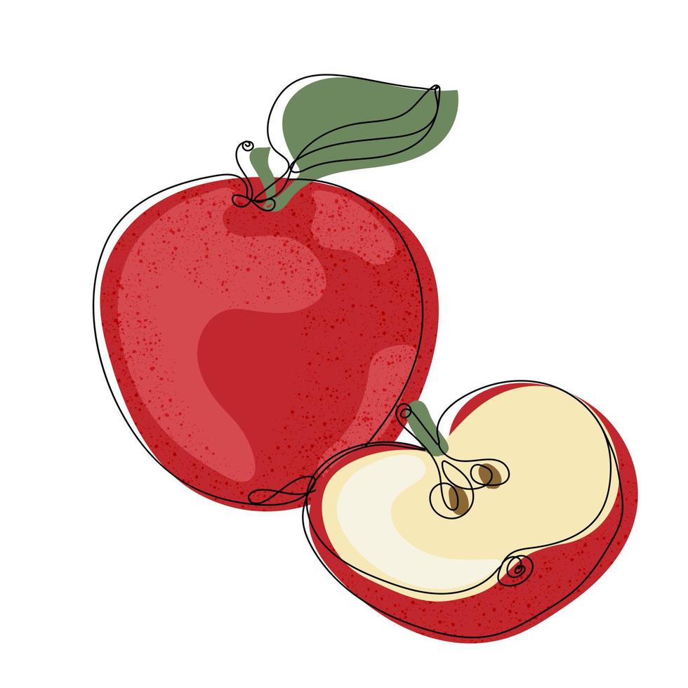 äpple. Färg illustration av en röd mogen äpple hela och halv. vektor