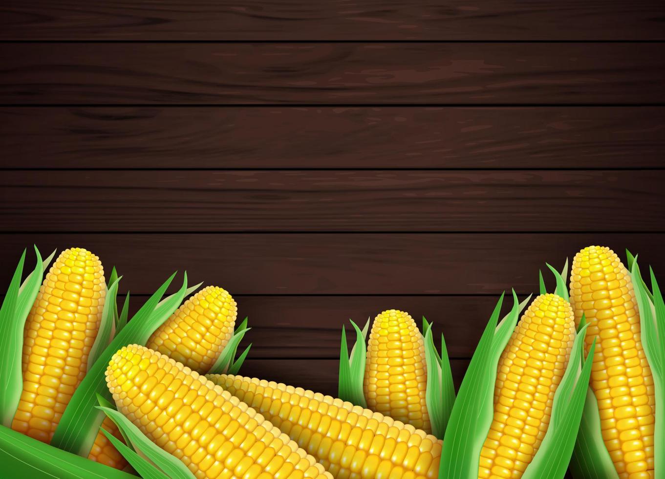 realistisch detailliert 3d Süss organisch Mais Cob Hintergrund Karte. Vektor