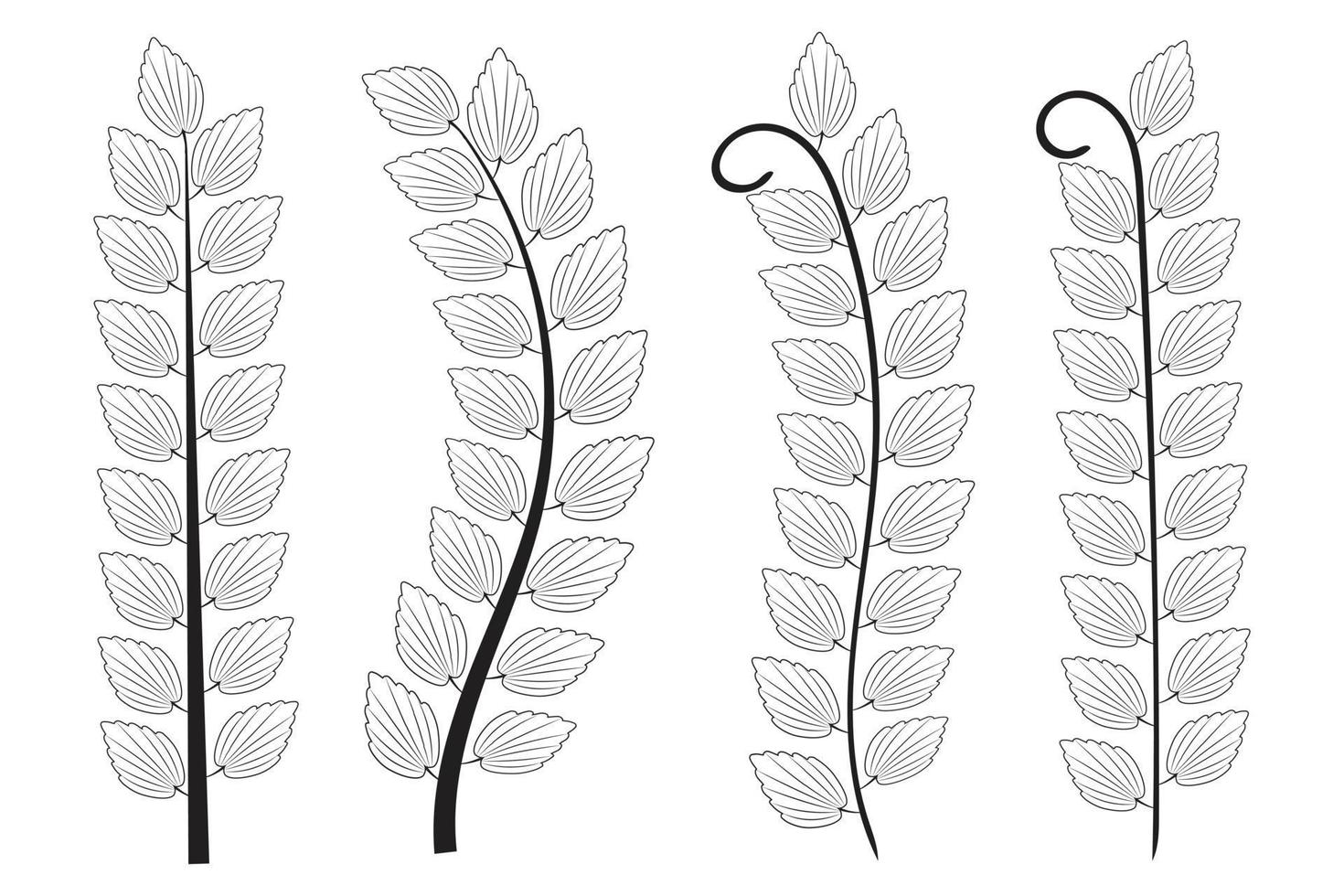 hand dragen klotter oliv träd grenar höst löv, årgång laurel krans löv, flora symbol dekorativ stam, botanisk gren och löv, design element skog och växt, vektor illustration