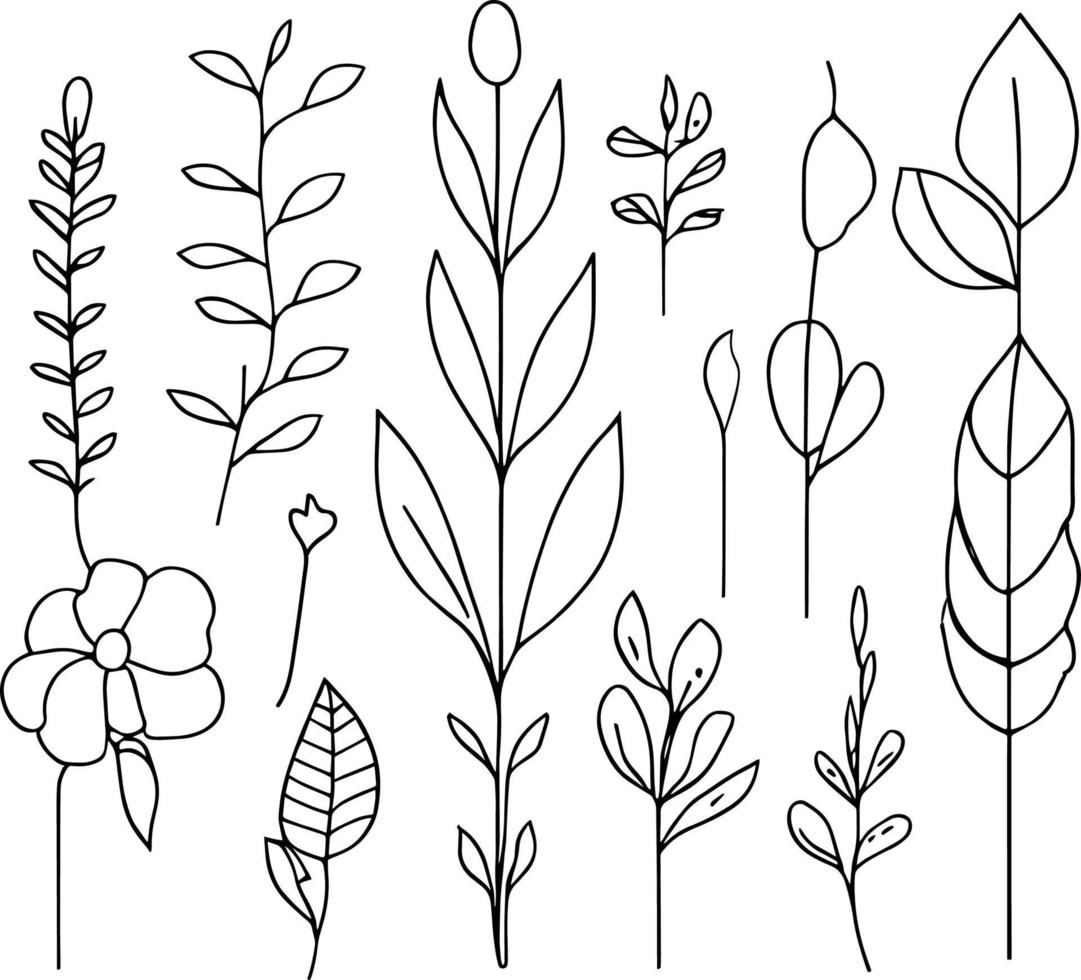 botanisch Element, botanisch Linie Zeichnung, Jahrgang botanisch Färbung Seiten, botanisch Elemente, botanisch Blume Illustration, botanisch Illustration schwarz und Weiss, botanisch Linie Zeichnung Blätter, vektor