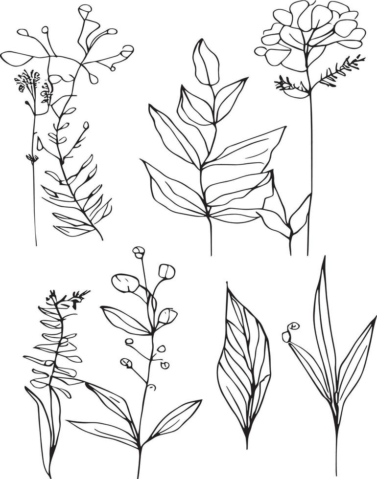 botanisch Element, botanisch Linie Zeichnung, Jahrgang botanisch Färbung Seiten, botanisch Elemente, botanisch Blume Illustration, botanisch Illustration schwarz und Weiss, botanisch Linie Zeichnung Blätter, vektor