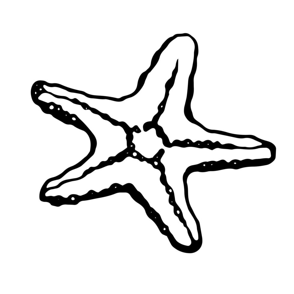 sjöstjärna. vektor, svart linje, isolerat vektor