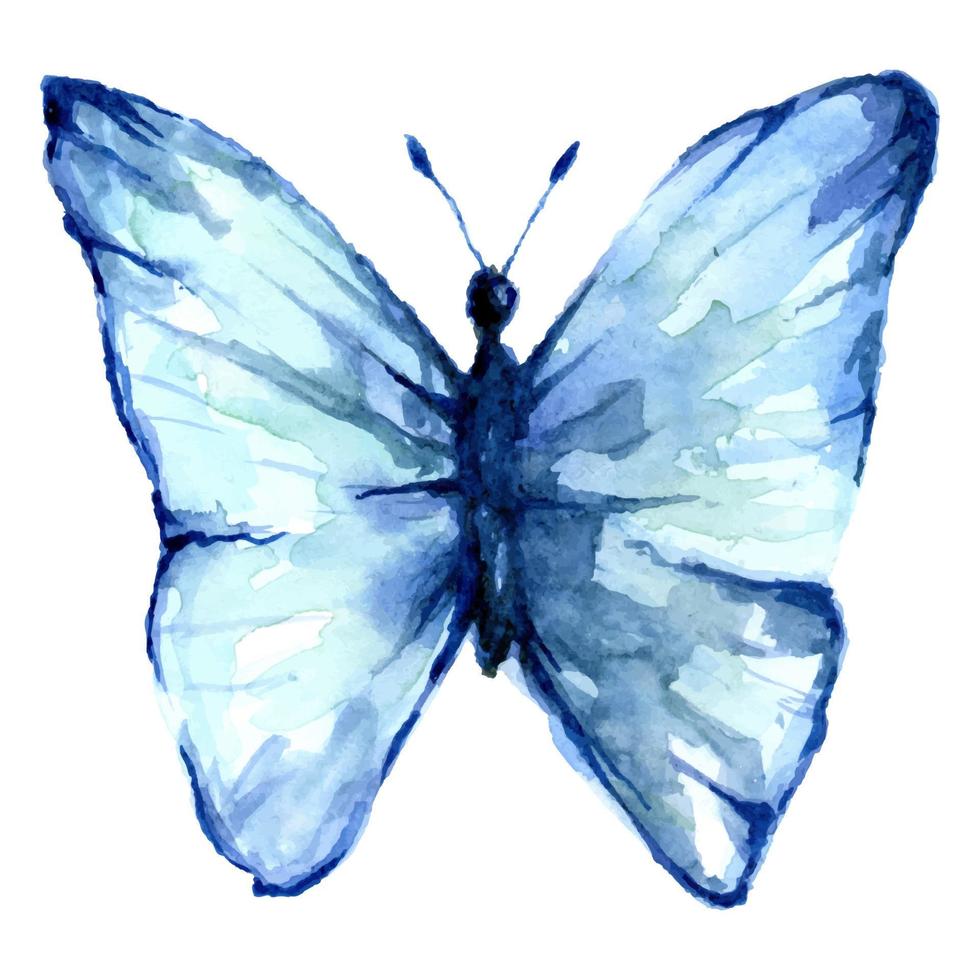 schön Blau Aquarell Schmetterling auf das Weiß Hintergrund. Flügel aussehen mögen nass Aquarell Kunst Karikatur Tiere Illustration zum Hintergrund. Vektor