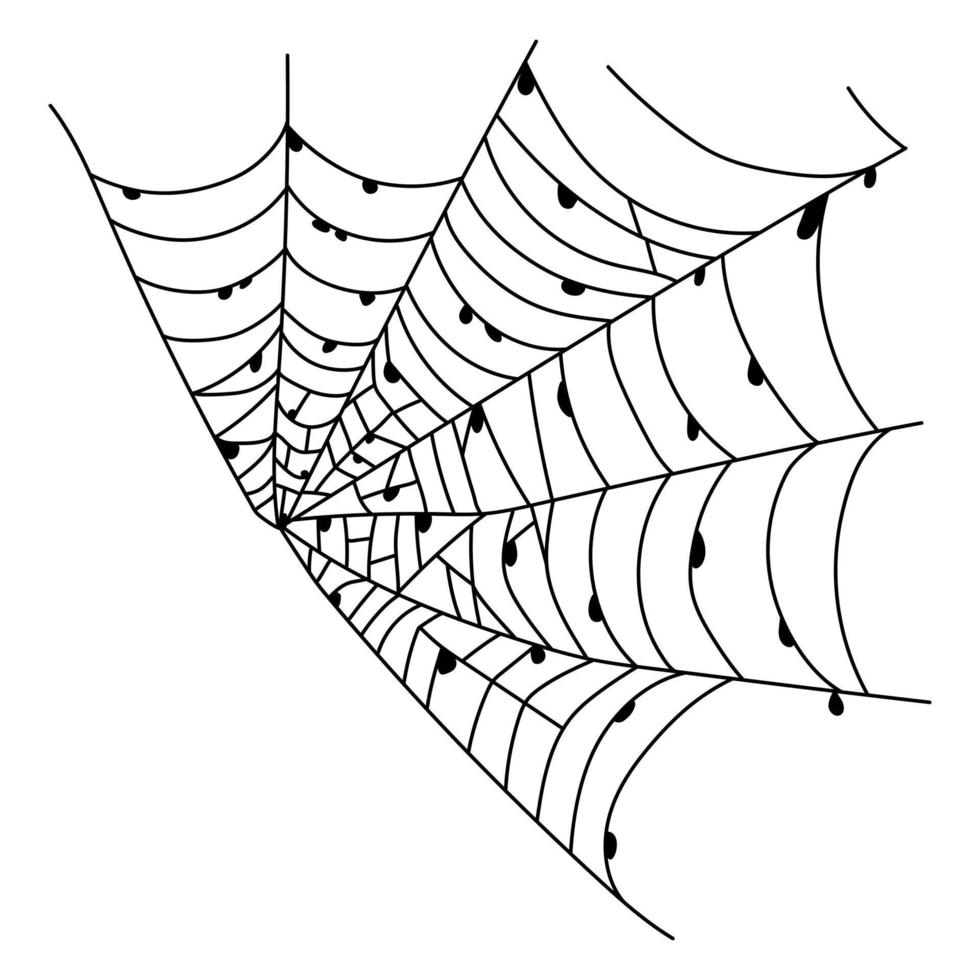 skrämmande Spindel webb isolerat. läskigt halloween dekoration. översikt spindelnät illustration vektor
