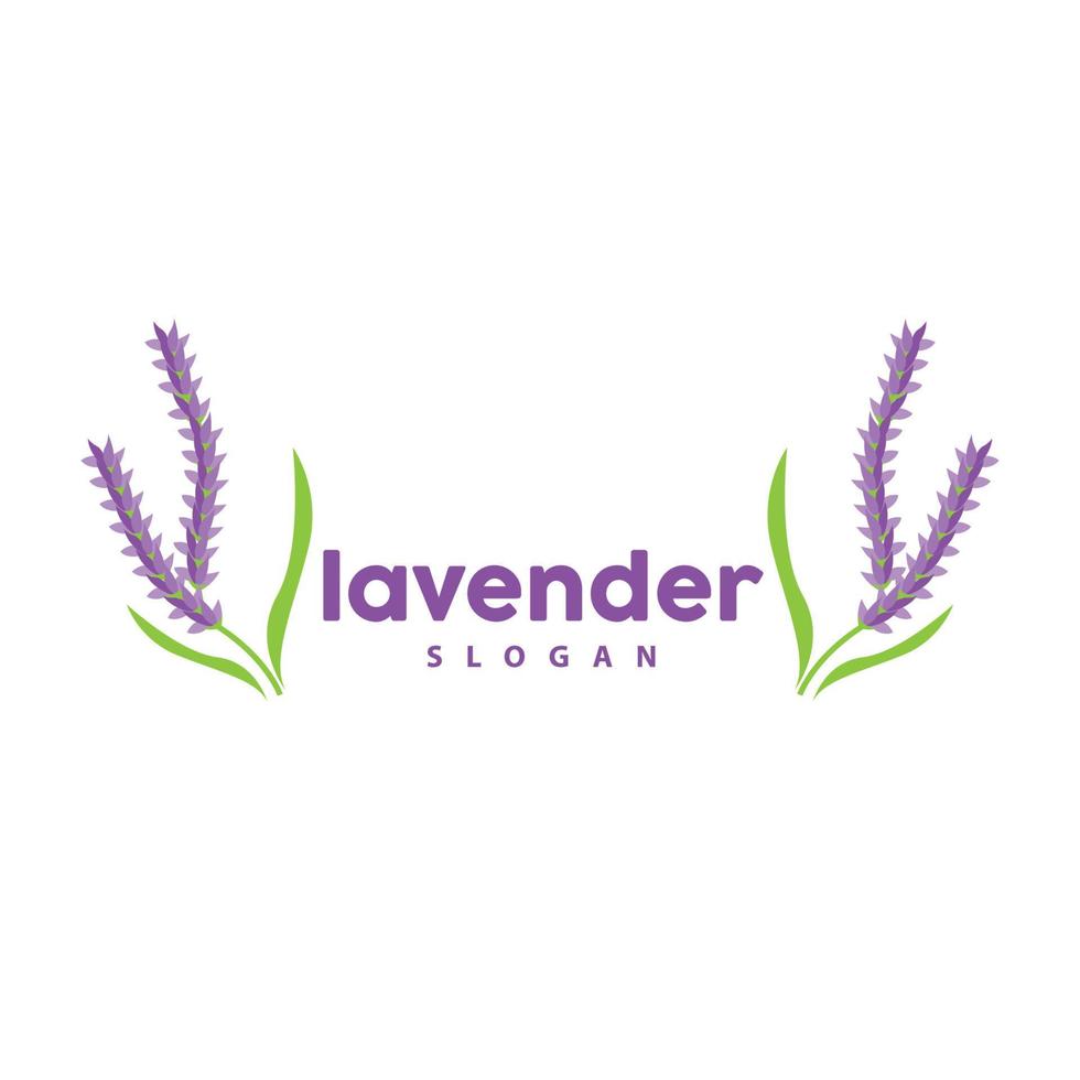 Lavendel Logo, einfach elegant lila Blume Pflanze Vektor, Gruß Karte Design, Banner, Blume Ornament, Lavendel Hand gezeichnet Hochzeit, Symbol Symbol Illustration vektor