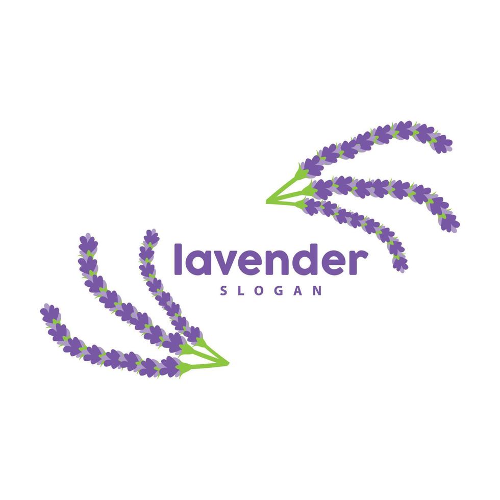 lavendel- logotyp, enkel elegant lila blomma växt vektor, hälsning kort design, baner, blomma prydnad, lavendel- hand dragen bröllop, ikon symbol illustration vektor