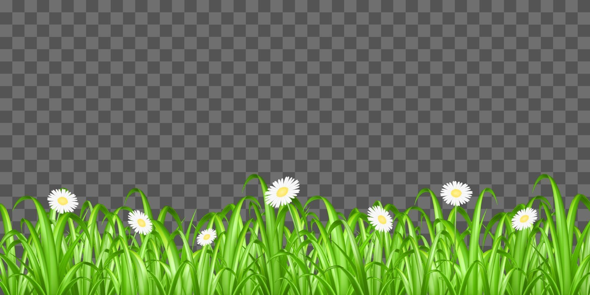Gras und Blumen isoliert vektor
