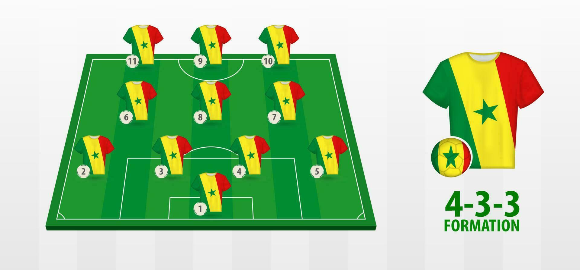 Senegal National Fußball Mannschaft Formation auf Fußball Feld. vektor