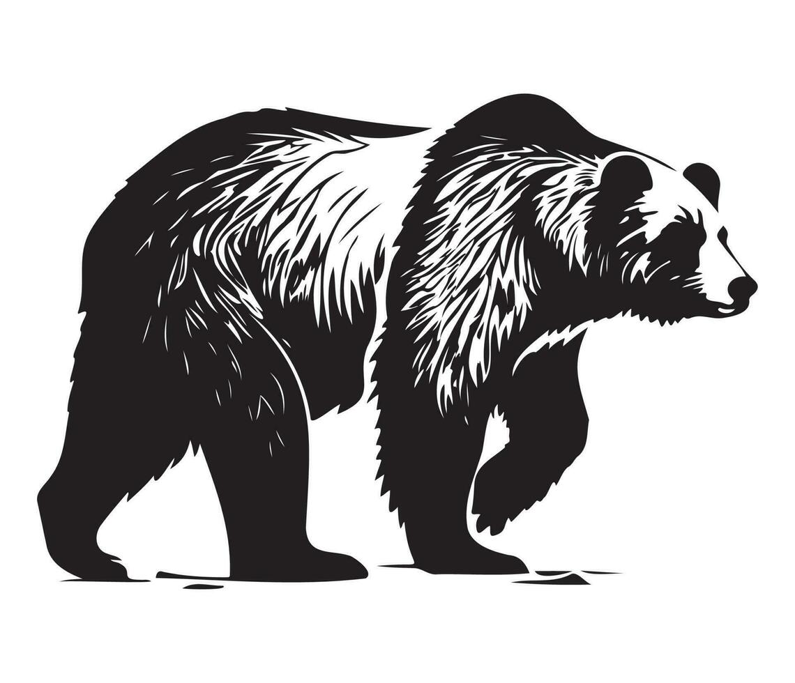 Grizzly Bär Gesicht, Silhouetten Grizzly Bär Gesicht, schwarz und Weiß Grizzly Bär Vektor