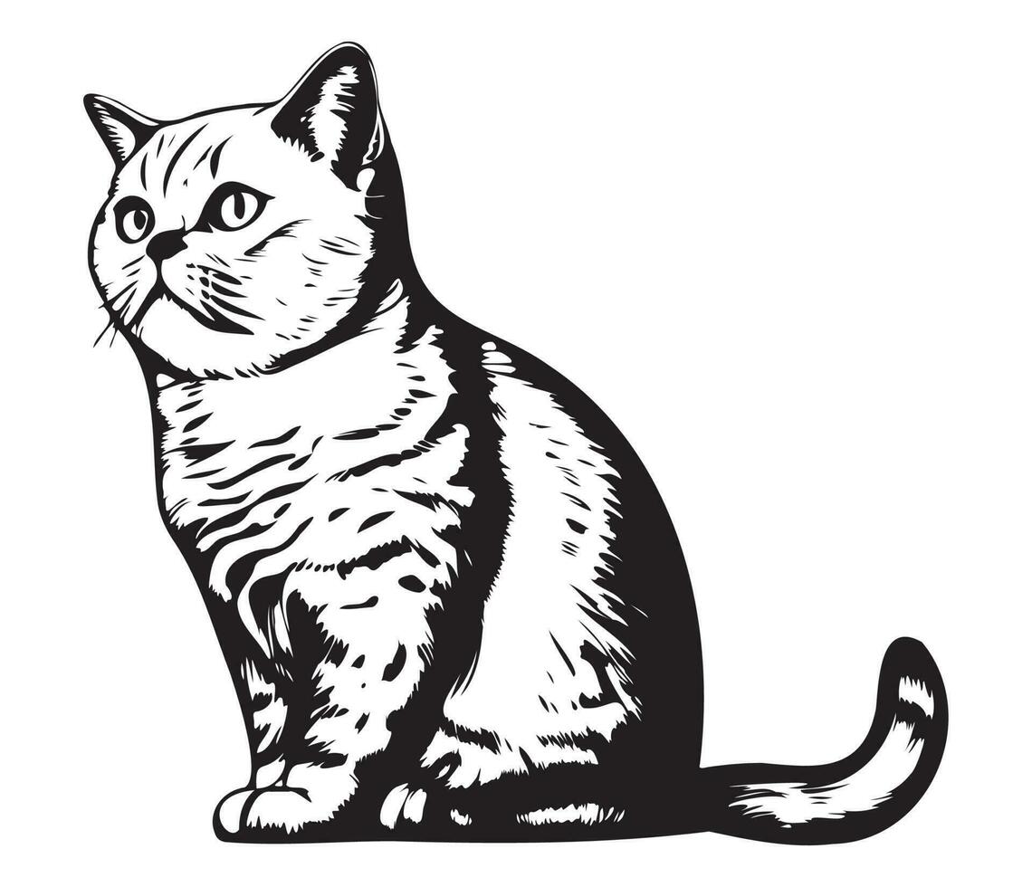 schottisch falten Gesicht, Silhouetten Katze Gesicht, schwarz und Weiß schottisch falten Vektor