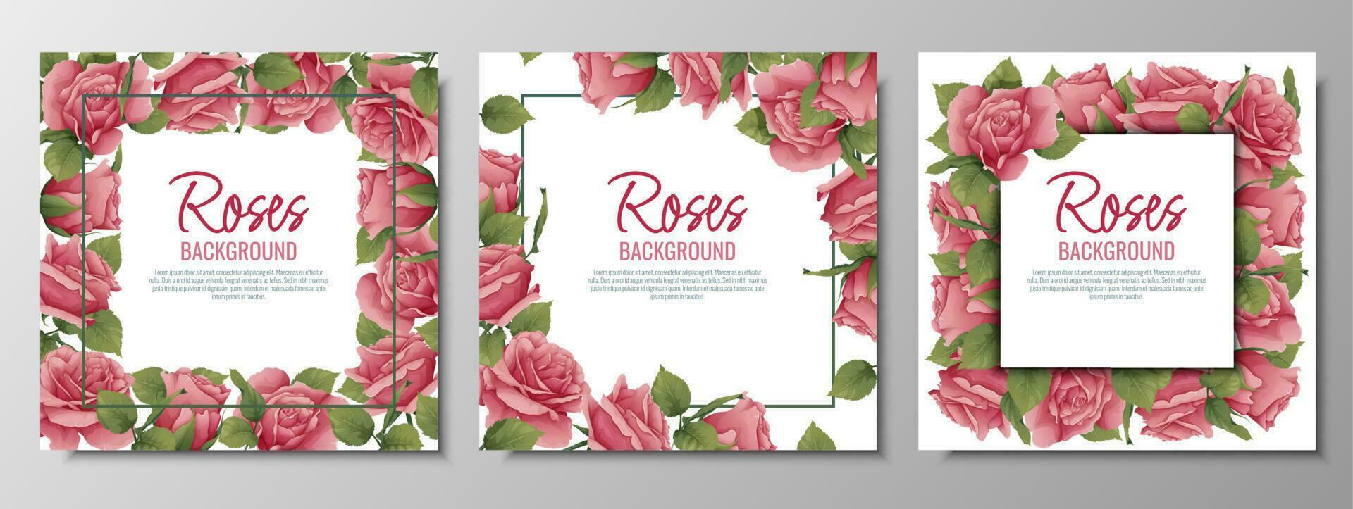 uppsättning av vykort med rosor. gräns, ram med rosa blommor och grön löv. bakgrund med botanisk element. vektor illustration.