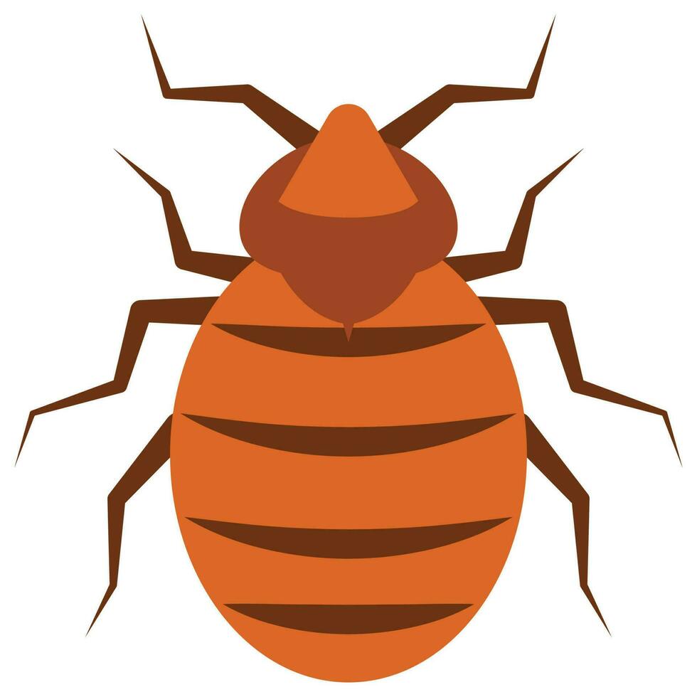 platt Färg ikon för parasit insekt. vektor