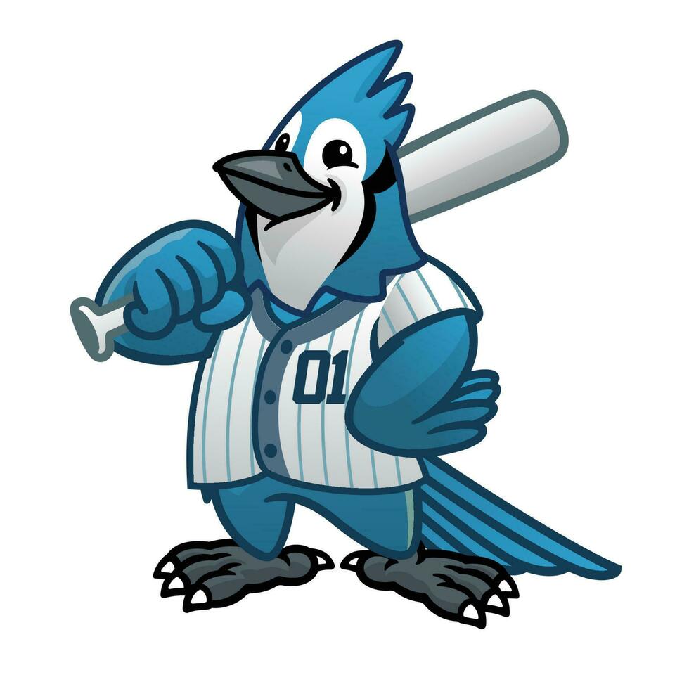 Blau Jay Baseball Karikatur Maskottchen vektor