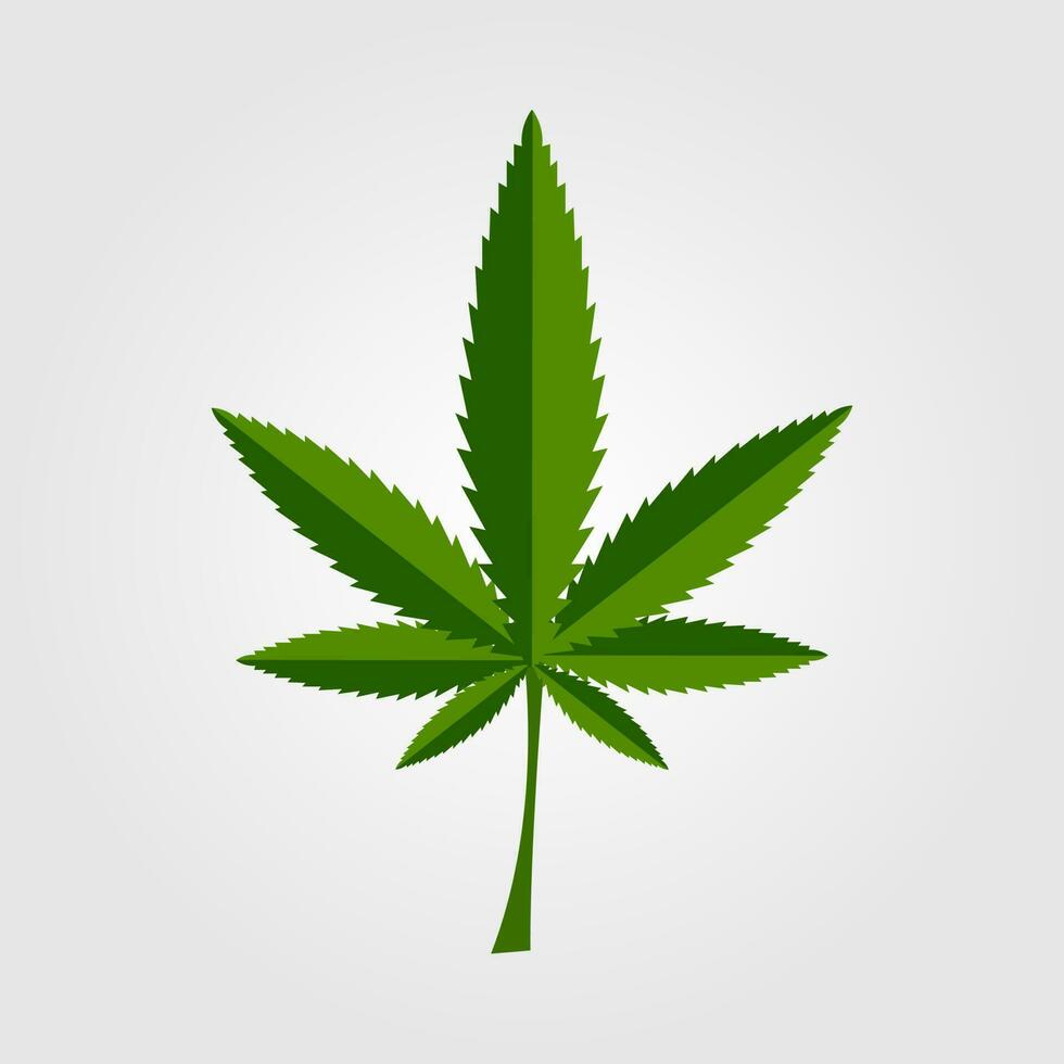 Grün Cannabis Blatt Symbol Design vektor