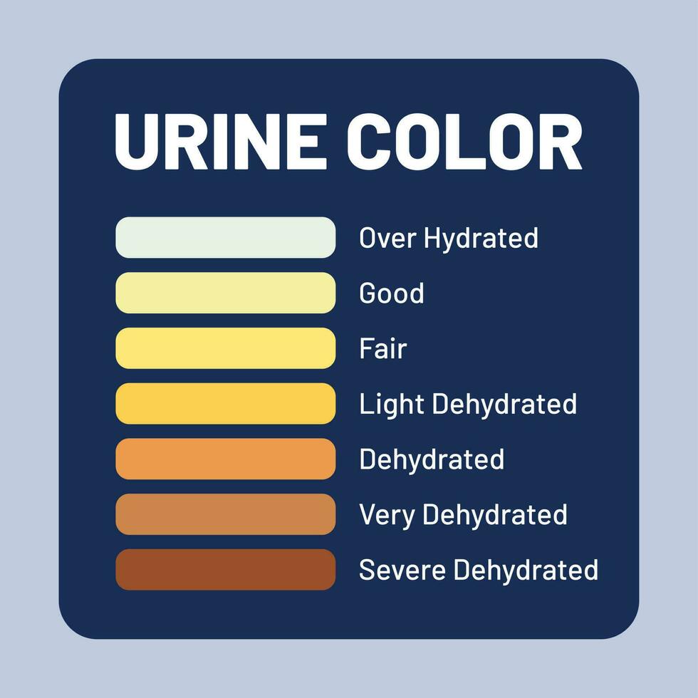 Urin Farbe Prüfung Vektor