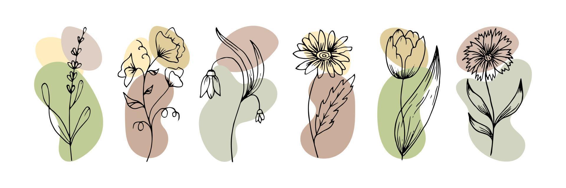 Hand gezeichnet Gliederung Blumen im Gekritzel Stil mit abstrakt Flecken hinzugefügt, Satz. Symbole, Vektor
