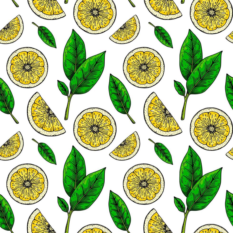 citron- skiva sömlös mönster. färgrik hand dragen vektor illustration i skiss stil. tropisk exotisk citrus- frukt sommar bakgrund