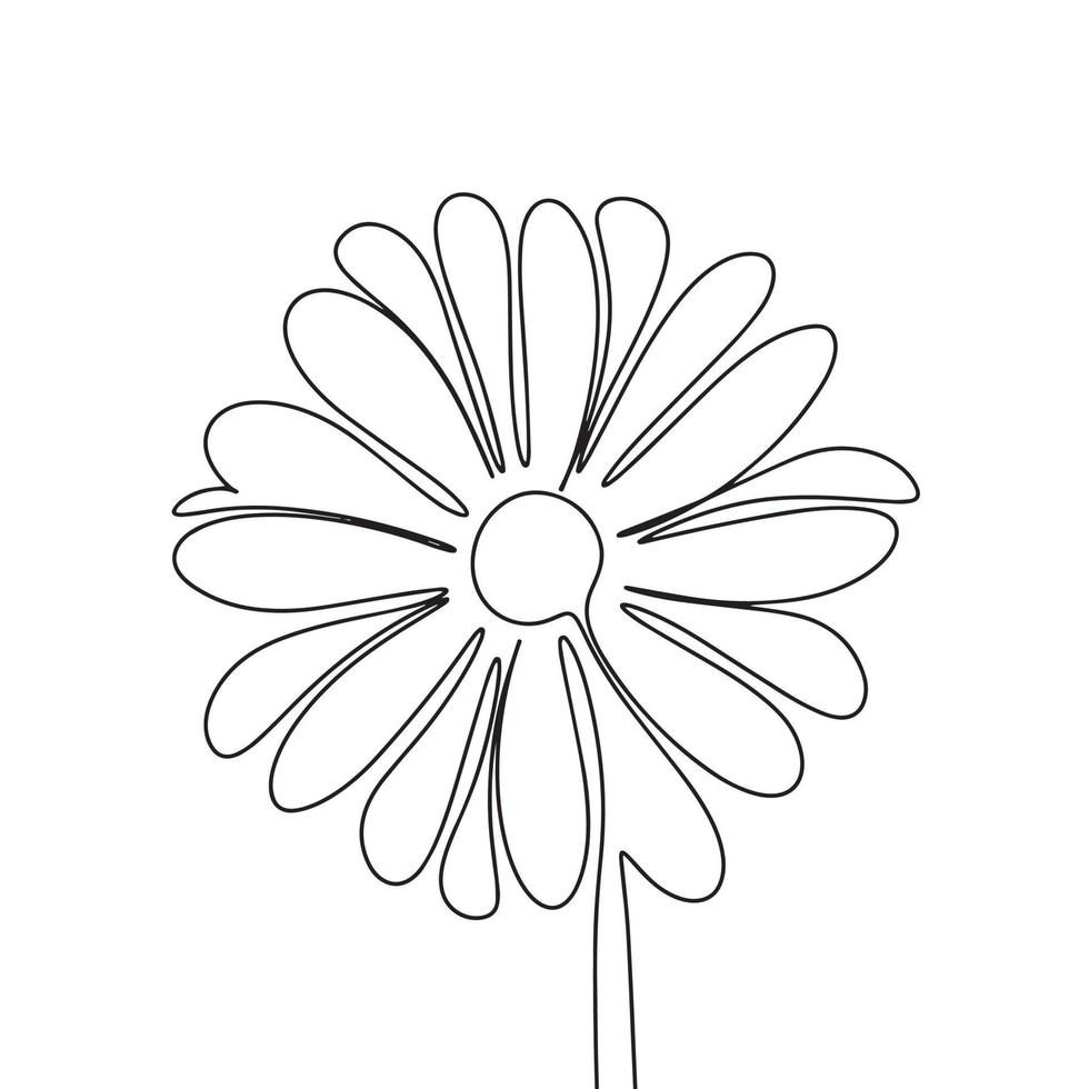 ett linje kontinuerlig blomma. hand dragen vektor av kamomill isolerat på vit bakgrund. linje konst vektor illustration. översikt