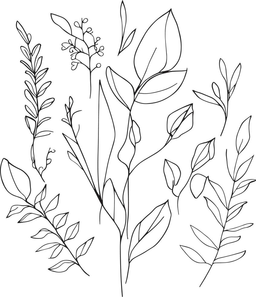 botanisch Elemente, botanisch Blume Illustration, botanisch Illustration schwarz und Weiss, botanisch Linie Zeichnung Blätter, botanisch Linie Kunst. Wildblume botanisch Linie Kunst, botanisch erfahren Zeichnung. vektor