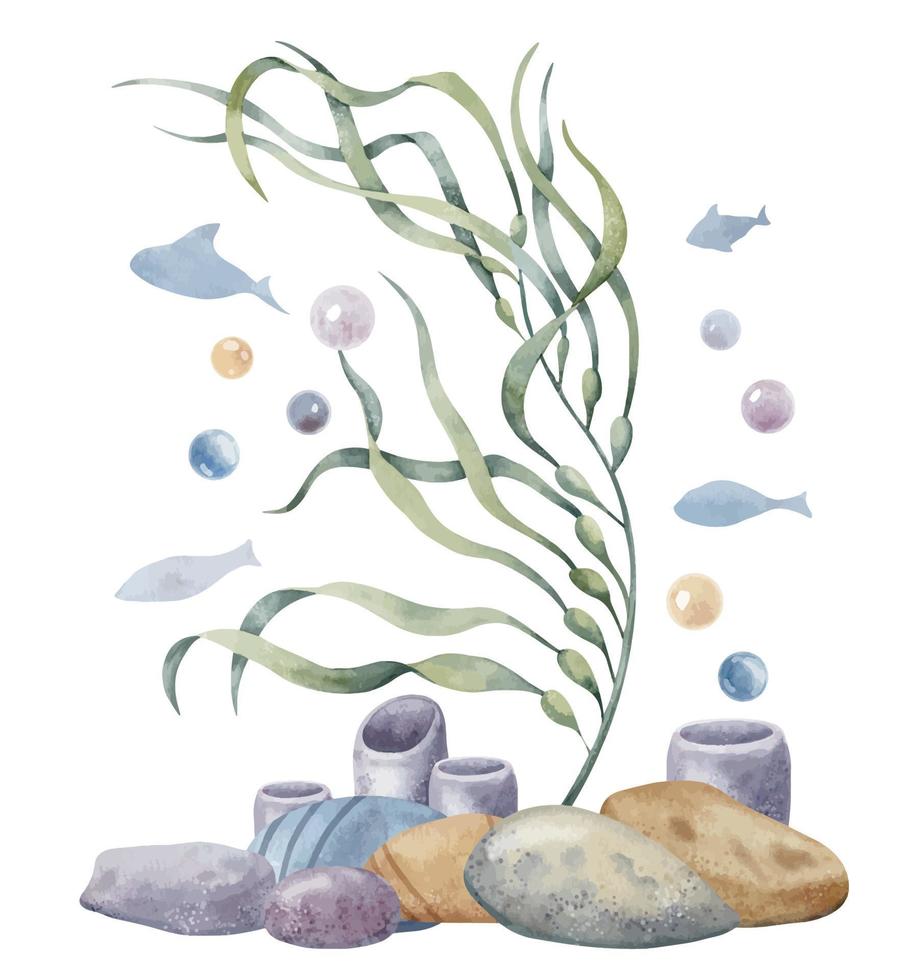 Seetang mit Meeresboden und Fische und Blasen. Hand gezeichnet Aquarell Illustration von Algen und Ozean Fußboden auf isoliert Hintergrund. Zeichnung von bunt Marine Steine und Laminaria. skizzieren zum Symbol vektor