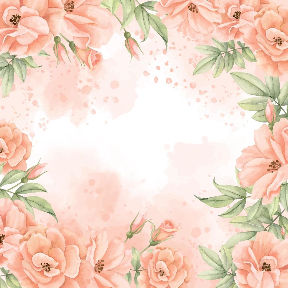 vattenfärg blommig ram med reste sig blommor i persika och rosa färger. hand dragen fyrkant mall för bröllop inbjudan eller hälsning kort. illustration på isolerat bakgrund. botanisk årgång gräns vektor
