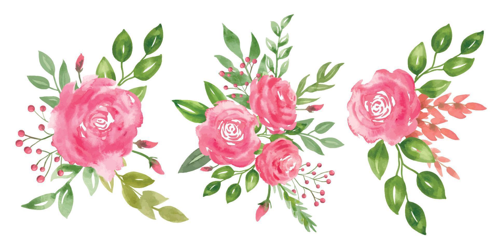 vattenfärg reste sig blommor. hand dragen blommig uppsättning av rosa bukett med grön löv på isolerat bakgrund. botanisk illustration för hälsning kort eller bröllop inbjudningar. vår sammansättning vektor