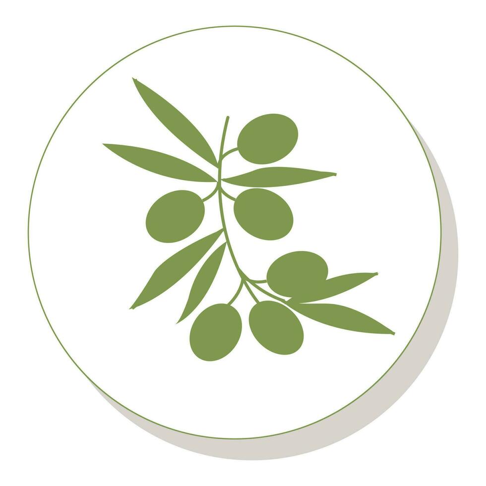 Oliven auf ein Ast. einfach Logo zum Ihre Design. Vektor Illustration.