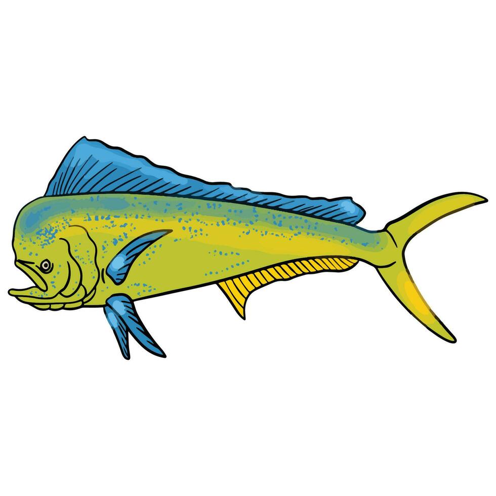 grön mahi fisk ,Bra för grafisk design Resurser, affischer, banderoller, mallar, grafik, färg böcker och Mer. vektor