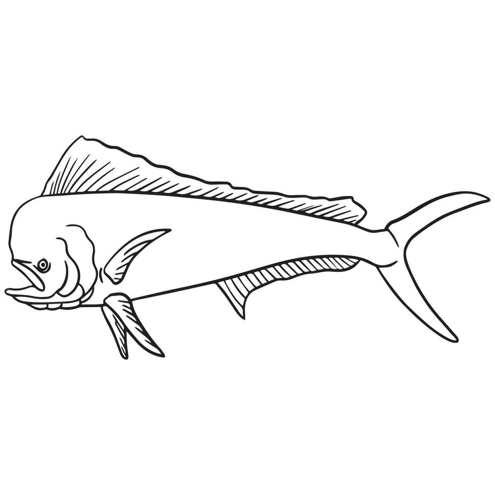 mahi fisk översikt konst ,Bra för grafisk design Resurser, affischer, banderoller, mallar, grafik, färg böcker och Mer. vektor