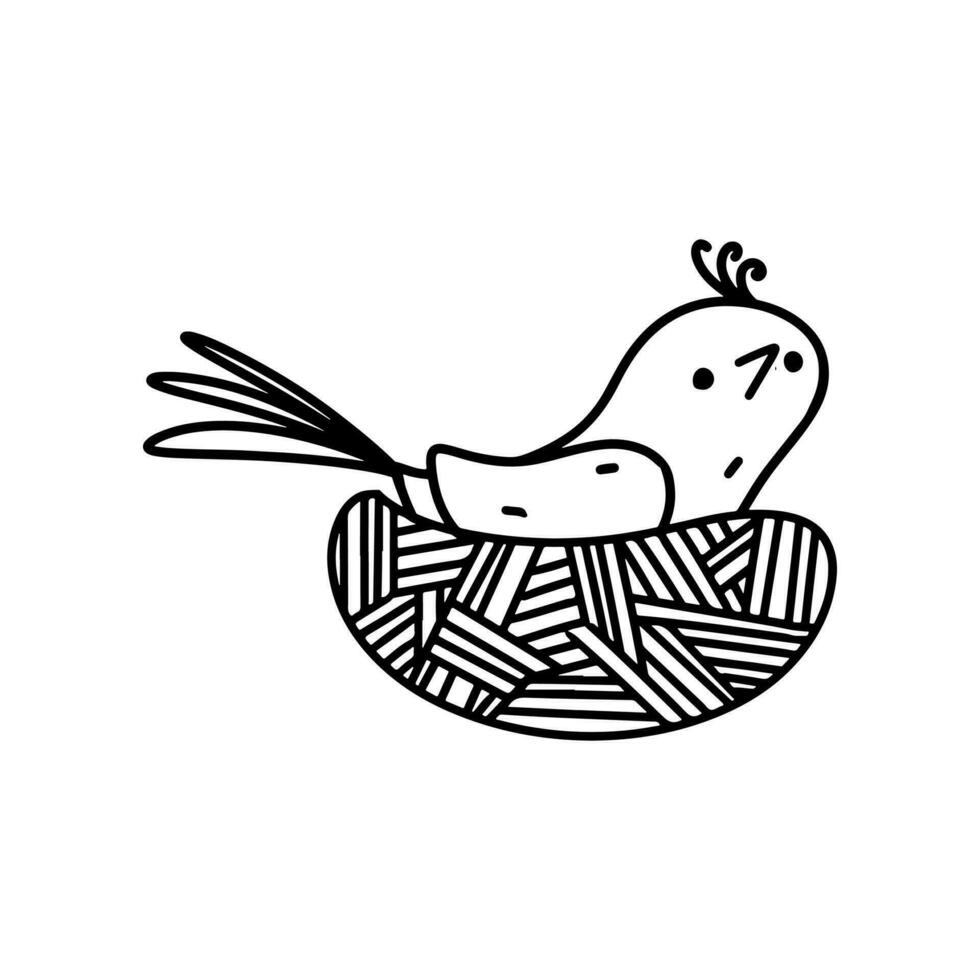 Vogel im das Nest im Hand gezeichnet Gekritzel Stil. Vektor Illustration isoliert auf Weiß Hintergrund.