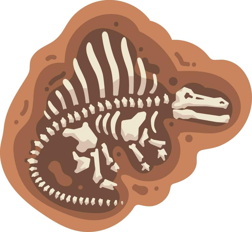 Tyrannosaurus rex Skelett Vektor Illustration auf ein Weiß Hintergrund
