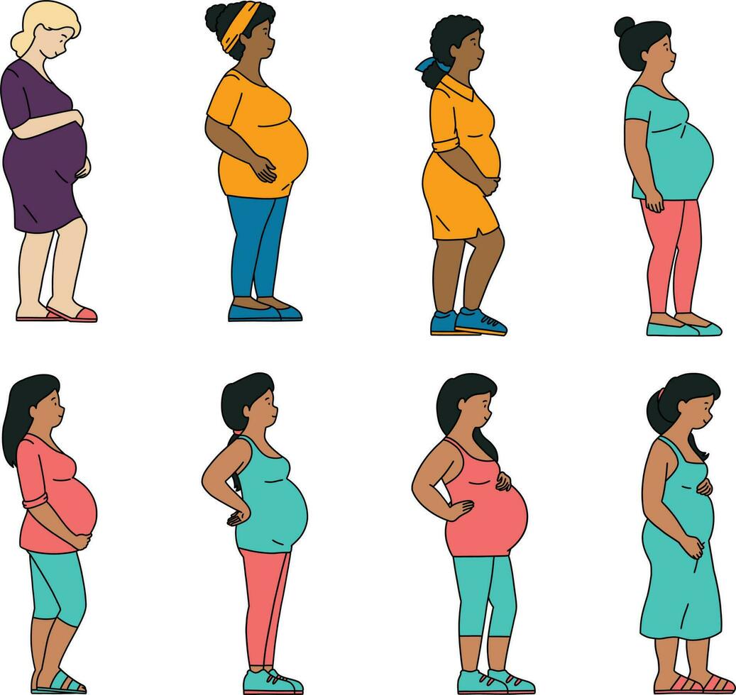gravid kvinnor uppsättning. vektor illustration i platt stil på vit bakgrund. uppsättning av människor